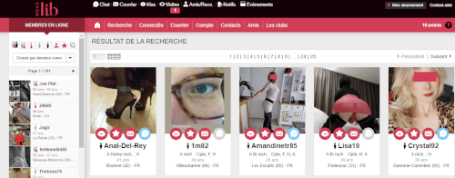 fonctionnalités NousLib